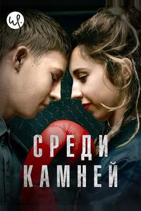 Среди камней