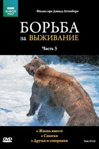 Борьба за выживание Борьба за выживание